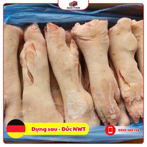 Dựng sau - Đức NWT