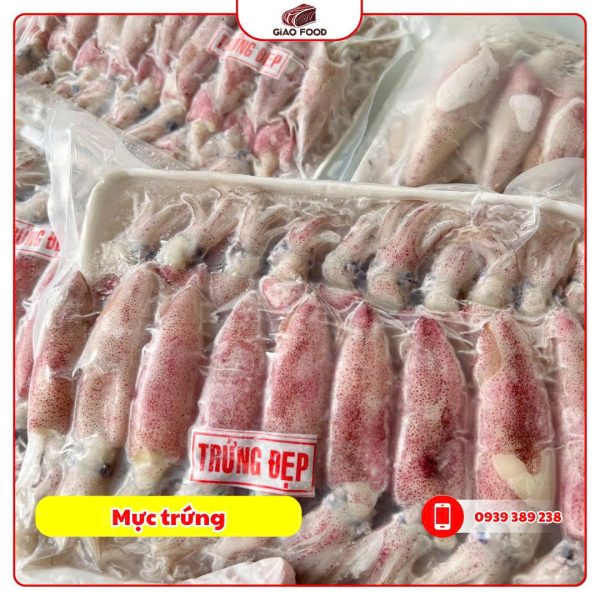 Mực Trứng