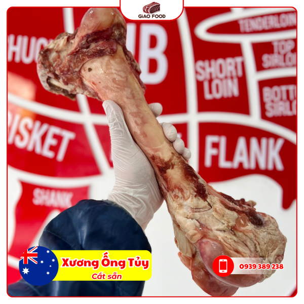 Xương Ống Tủy Bò