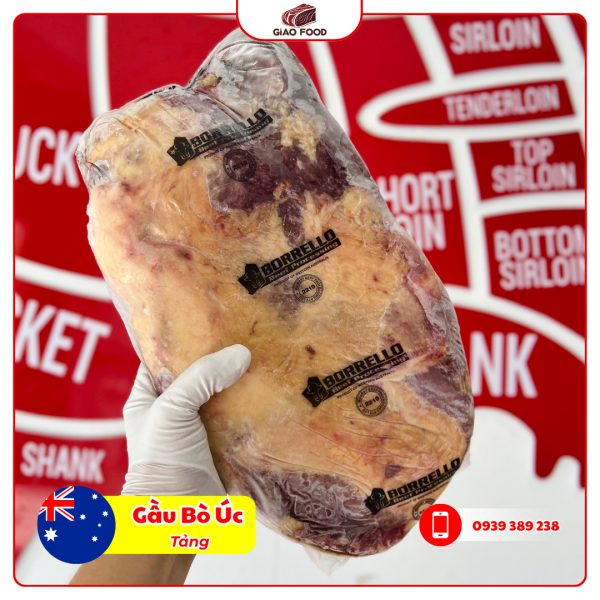 Gầu Bò Úc - TẢNG