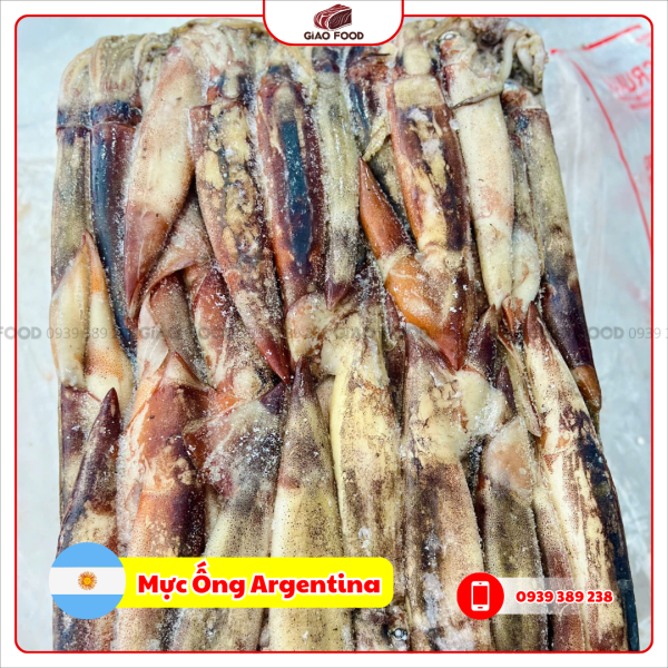 Mực Ống Argentina