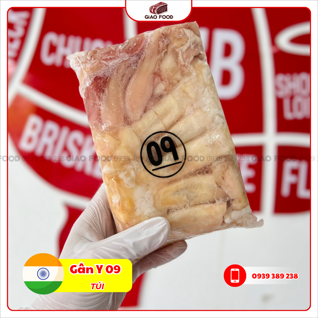 GAN Y 09 - TUI Gân trâu Ấn Độ